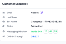 Customer Snapshot showing Email, Last Seen, Bot Name, Status Subscribed, Messaging Window Inside 24H, and OPT-IN Through Direct