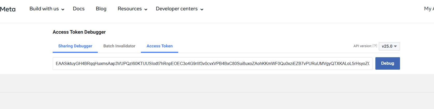 Token debugger