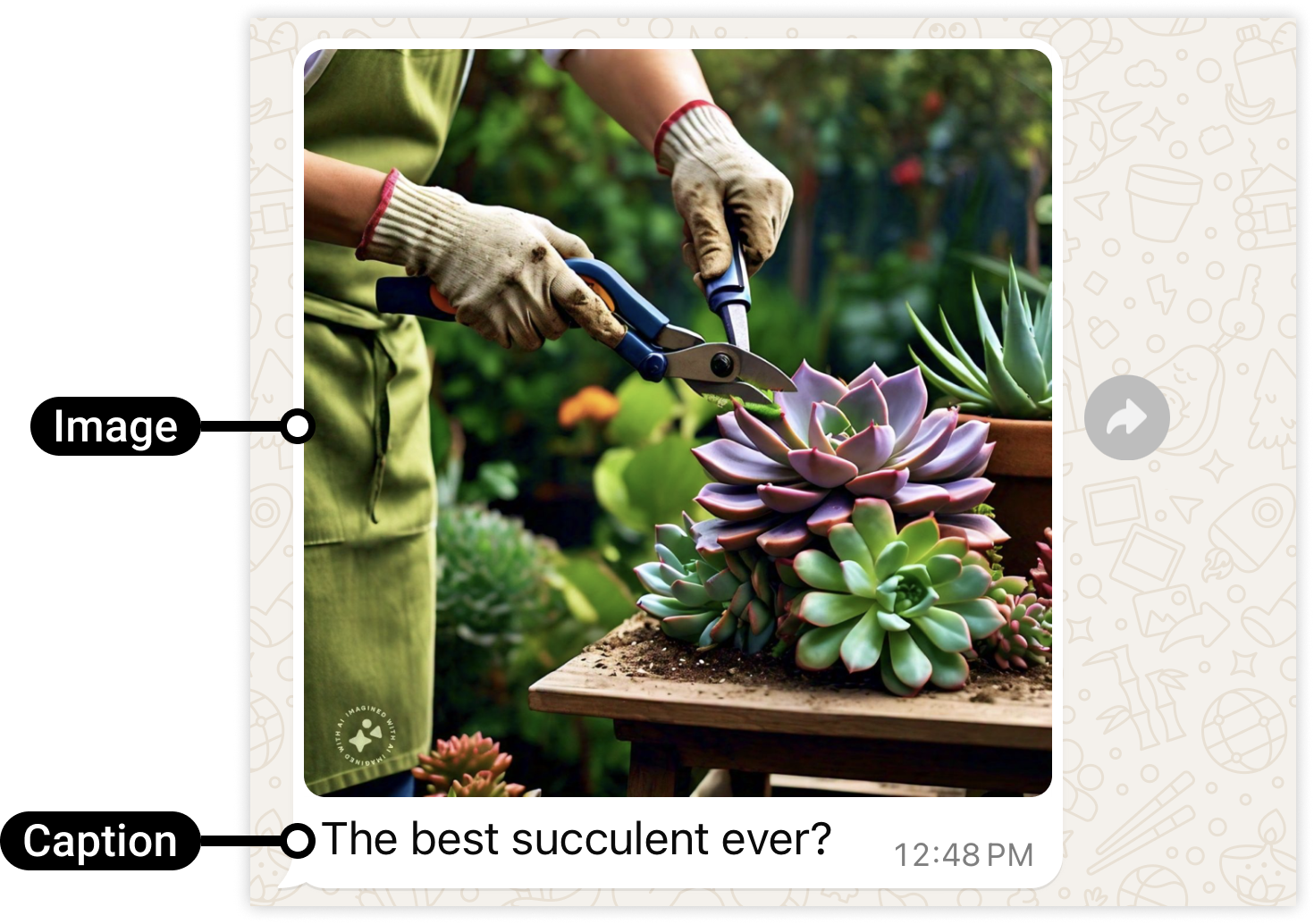 Image message example